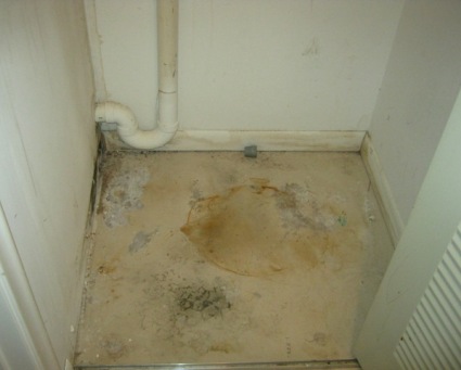 List Of Black Mold Health Effects 67