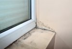 Mold Window leak 397x268