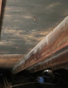 attic mold picture, mold on attic ceiling