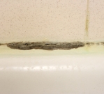 Black mold in bathroom Black mold in bathroom