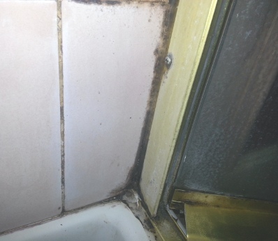 Black mold on shower caulking