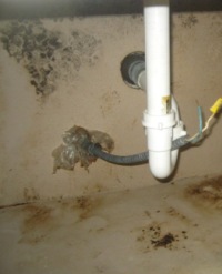Black mold under sink
