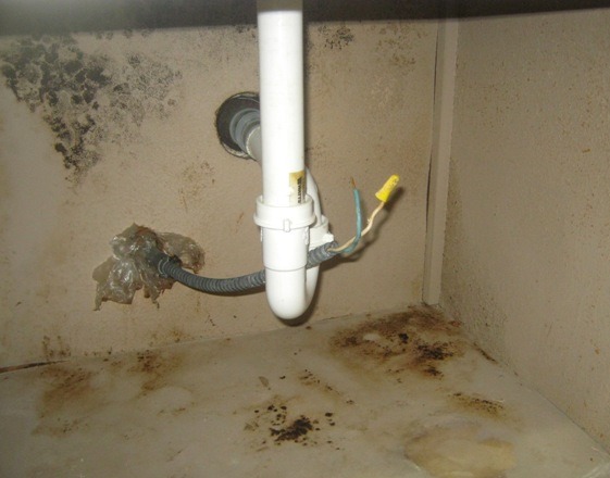 Black mold under a sink