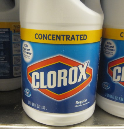 Does Bleach Kill Mold