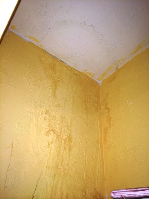 Mold in closet caused by upstairs leak