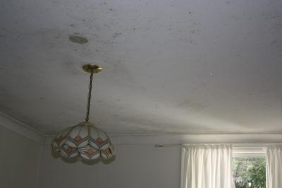 Mold on ceiling