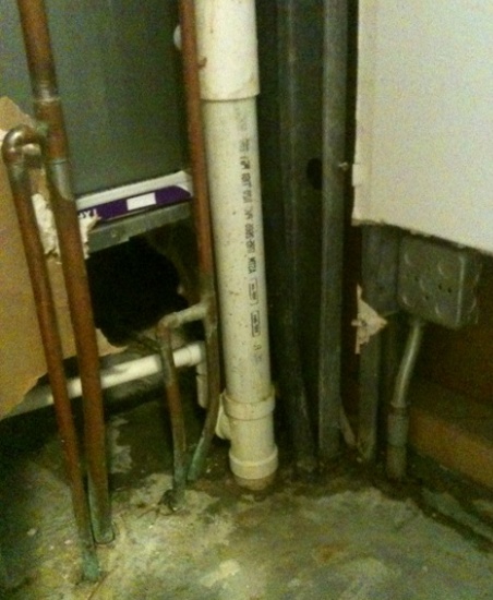 Leaky pipes that caused mold