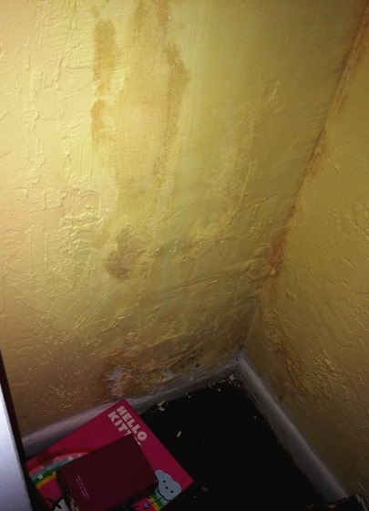 Mold on walls and inside wall