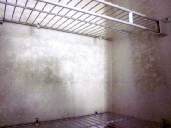 Mold in a pantry closet