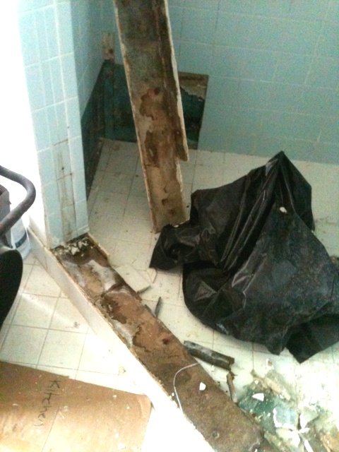 Mold in shower stall under tiles
