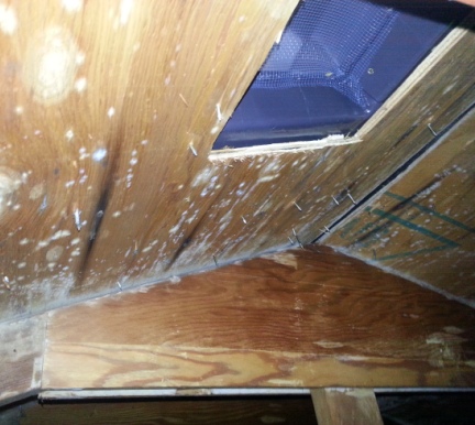 White Attic Mold