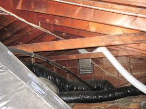 picture of attic with mold, attic mold picture