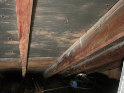 Attic Mold Photo