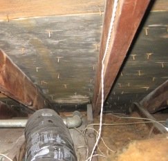 Mold in Attic Picture