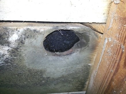 Black mold in an attic