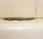 Black mold in bathroom