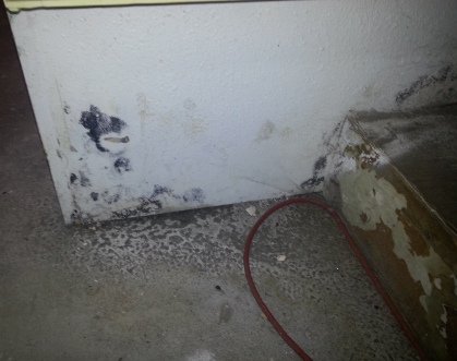 Black mold on sheetrock in garage