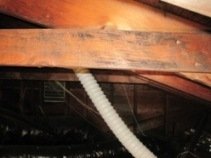 Black mold attic photo