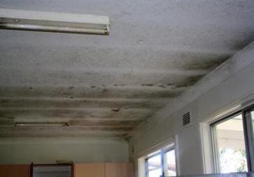 Mold on kitchen ceiling