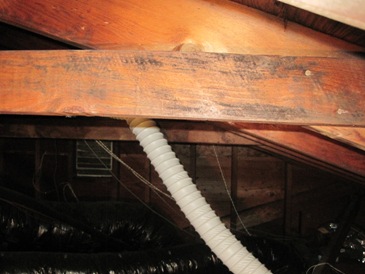 mold in attic on beam, picture of blackish mold in attic, attic mold
