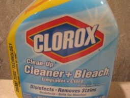 Using Bleach For Mold