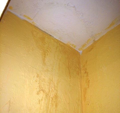 Mold in closet from leak in above apartment