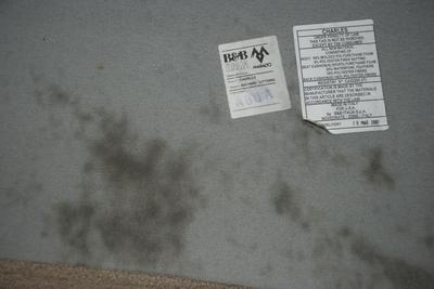 Mold on Couch