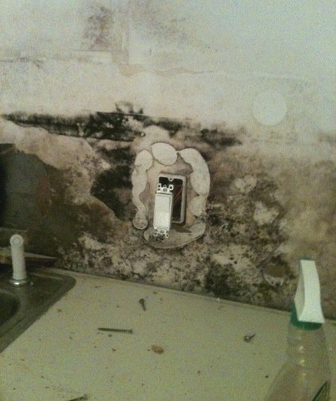 Kitchen with mold after a flood