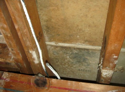 Attic mold causing allergy symptoms