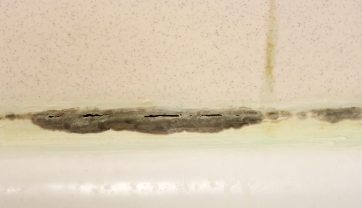 Mold on bathroom tiles
