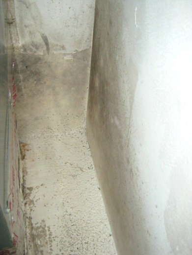 Mold near heating system