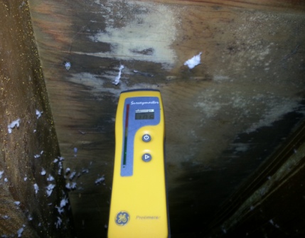 Mold from roof leak