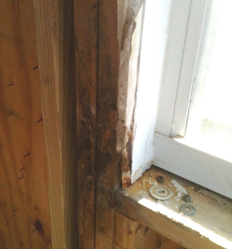 Mold inside wall from window leak