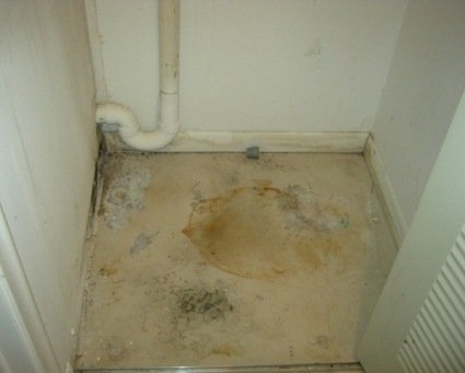 Mold in linen closet from leak