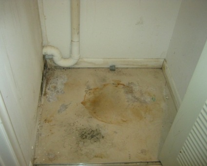 Black mold in linen closet