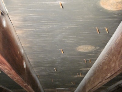 Mold in Attic Picture