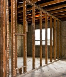 Treatment of Black Mold Inside Walls