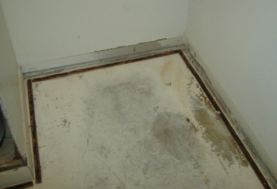 Moldy tack strips under carpeting