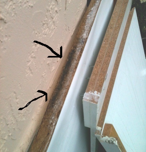 Black mold on bathroom particle board