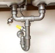 Leaky pipes mold