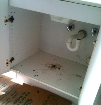 Vanity surface with black mold