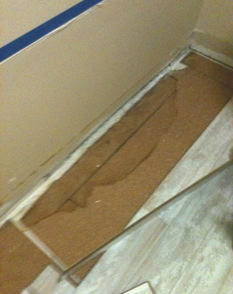 Basement vapor barrier with mold