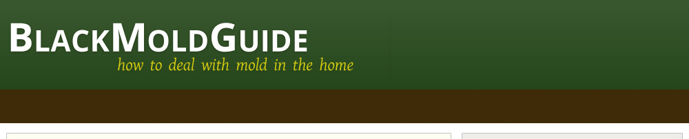 Black Mold Health Symptoms Testing Removal Information Mold Resources Contact Us Blog